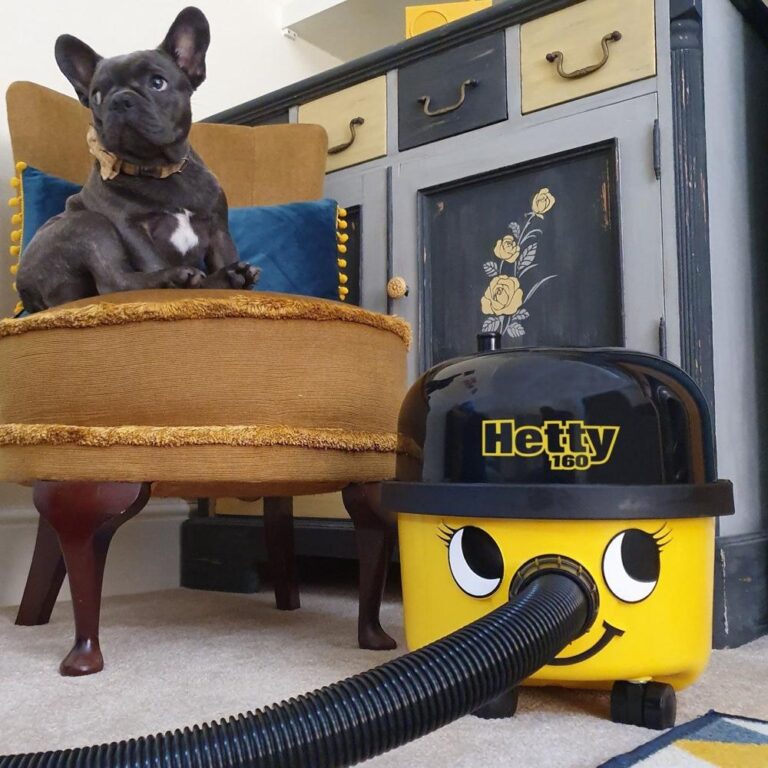 Een schattige Franse Bulldog zit op een ronde, gele stoffen poef met een beslag van franjes, terwijl een vrolijke stofzuiger met een glimlachige gezichtsuitdrukking en een zwart deksel op de vloer staat. Op de achtergrond is een vintage kast zichtbaar met blauwe accenten en bloemenmotieven, wat de gezellige sfeer van de ruimte benadrukt.