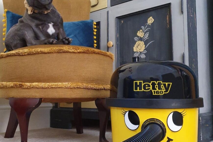 Een schattige Franse Bulldog zit op een ronde, gele stoffen poef met een beslag van franjes, terwijl een vrolijke stofzuiger met een glimlachige gezichtsuitdrukking en een zwart deksel op de vloer staat. Op de achtergrond is een vintage kast zichtbaar met blauwe accenten en bloemenmotieven, wat de gezellige sfeer van de ruimte benadrukt.