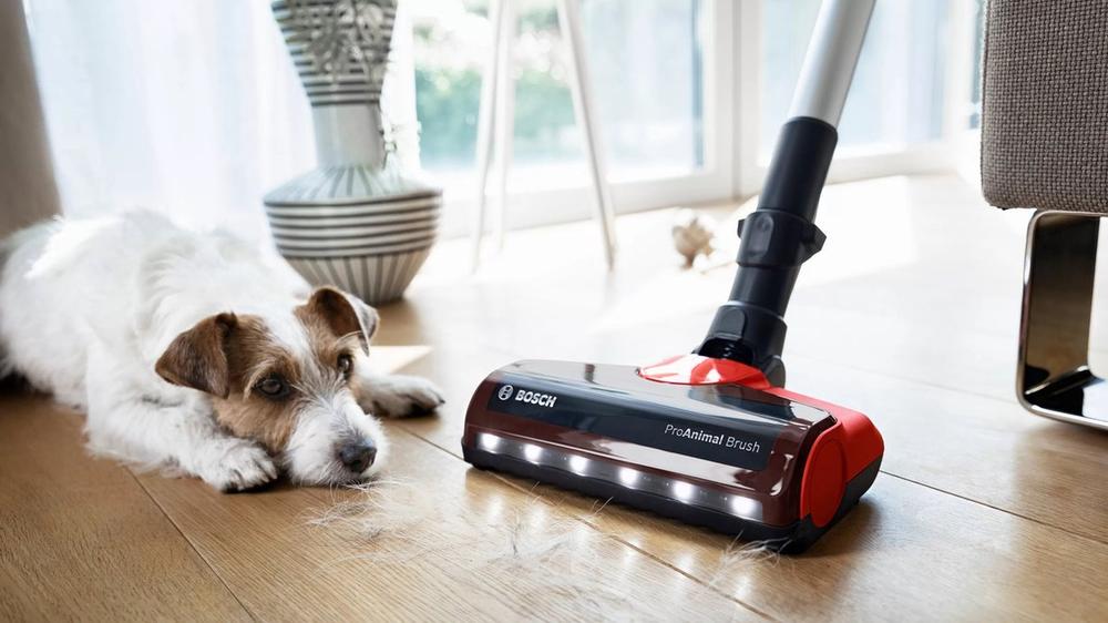 Bosch Proanimal Borstel Houten Vloer Hondenhaar Hond Rustend